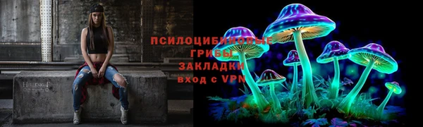 гашик Барнаул