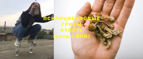 стаф Зеленодольск