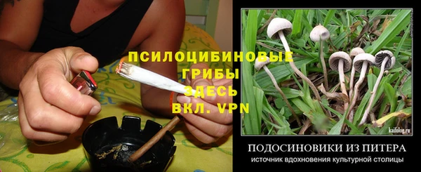 стаф Зеленодольск